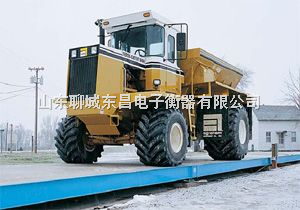 河东地磅维修、沂南地磅维修、郯城地磅维修、