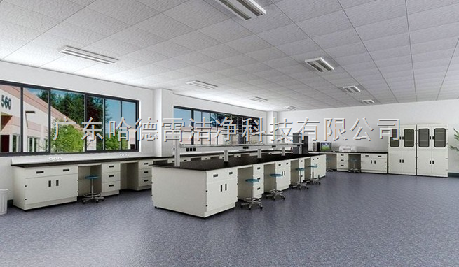 实验室设备 广州免疫分析系统实验室装修工程